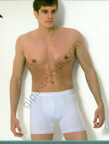 GÜNEŞ ERKEK LYCRA SPORT BOXER