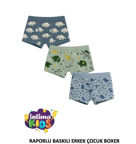 İntimo 2522 Raporlu Baskılı Erkek Çocuk Boxer 12'li