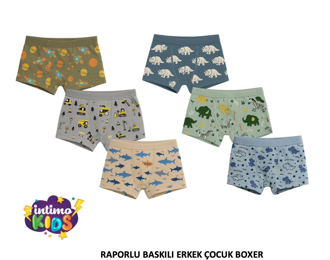 İntimo 2522 Raporlu Baskılı Erkek Çocuk Boxer 12'li