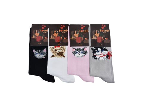 Şirin 4400 (36-40) Dikişsiz Bayan Desenli Penye Çorap 12'li