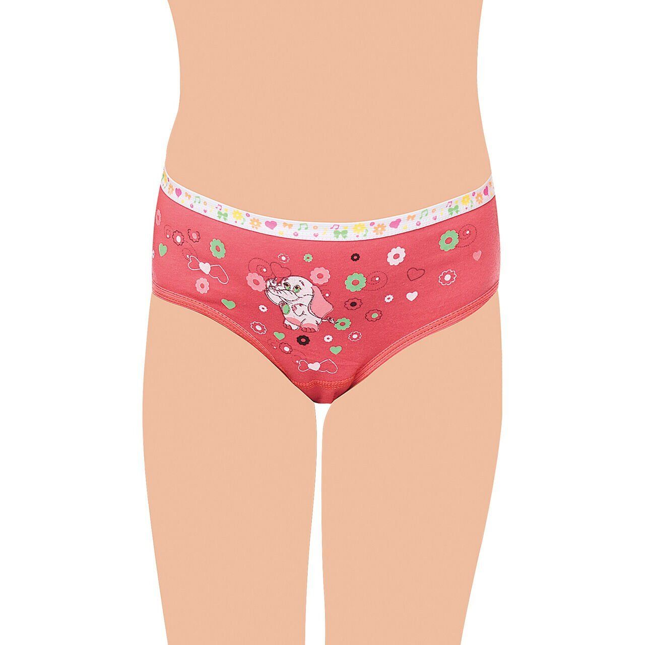 Tutku 0832 Elastan Kız Çocuk Önü Baskılı Slip Külot 12'li