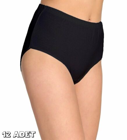 Tutku 0923 Renkli Bayan Ribana Bato Külot 12'li