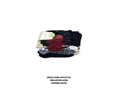 İntegral Erkek Çocuk Patik Çorap 12'li