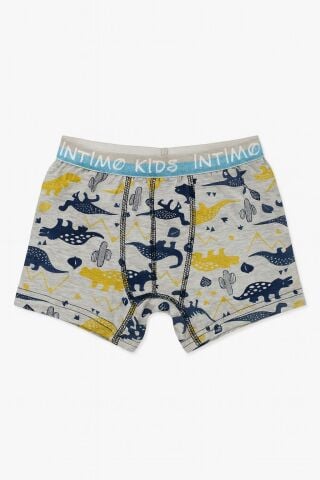 İntimo 2521 Erkek Çocuk Boxer 12'li