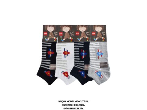 Şirin 290 Dikişsiz Mevsimlik Doğal Pamuk Erkek Çocuk Patik Çorap 12'li