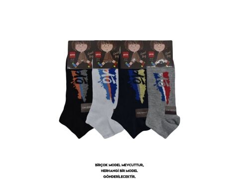 Şirin 290 Dikişsiz Mevsimlik Doğal Pamuk Erkek Çocuk Patik Çorap 12'li