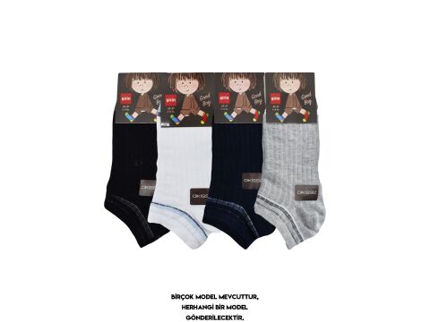 Şirin 290 Dikişsiz Mevsimlik Doğal Pamuk Erkek Çocuk Patik Çorap 12'li