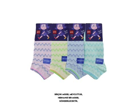 Şirin 210 Dikişsiz Mevsimlik Doğal Pamuk Kız Çocuk Patik Çorap 12'li