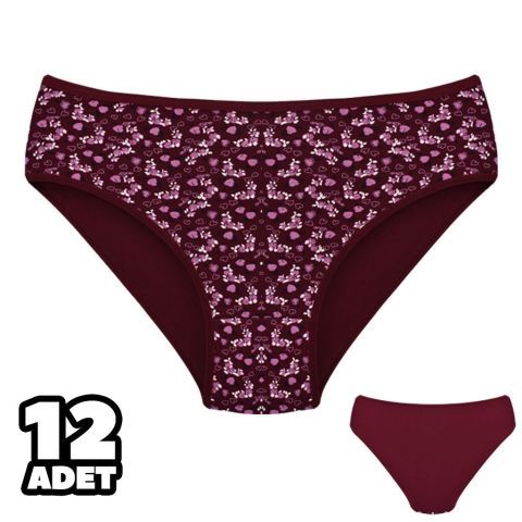 Dondeza 201-158 Desenli Bayan Ara Beden Külot 12'li