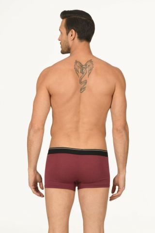 Nbb 735 Erkek Modal Boxer