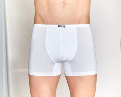 Berrak 4488 Modal Erkek Boxer Şort