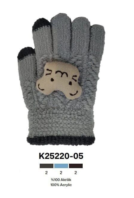 Kitti P-K25220-05 3-6 Yaş Örme Erkek Çocuk Eldiven 6'lı