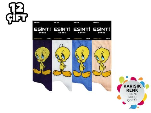 Esinti 80 Bayan Kolej Çorap 12'li