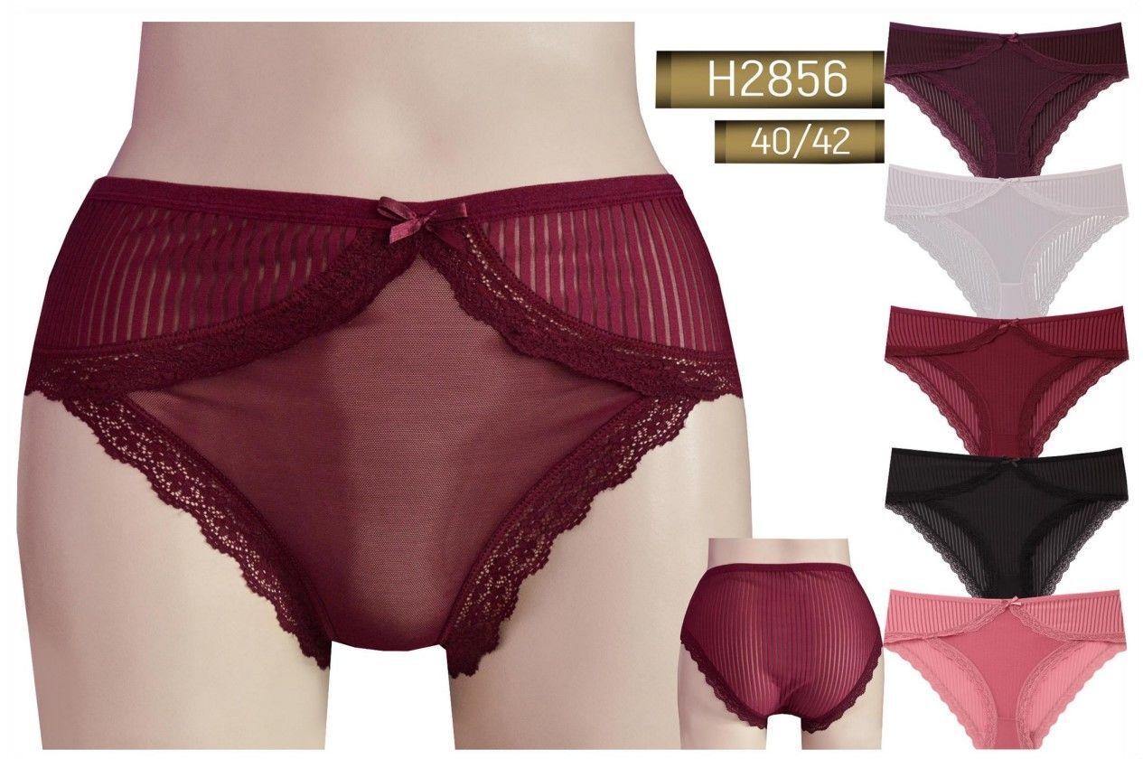 Helena Paris 2856 L Beden Bayan Fantazi Külot 12'li